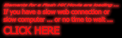 Please ... don't you want to wait for my fancy Flash Intro?!?!?
